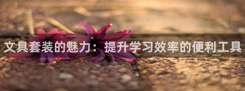 彩名堂在线下载：文具套装的魅力：提升学习