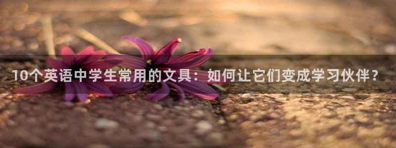 彩名堂移动客户端是什么：10个英语中学生