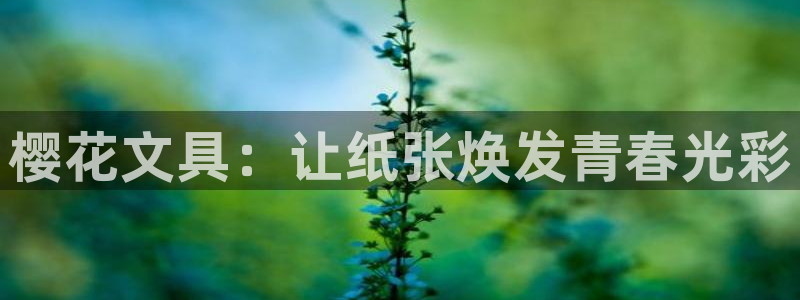 彩名堂改名稻草人了吗知乎：樱花文具：让纸